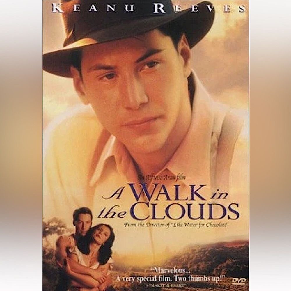 “A Walk in the Clouds” DVD